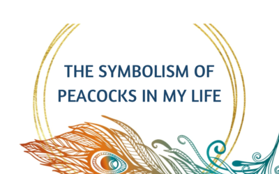The Symbolism of Peacocks in My Life