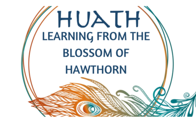 HUATH: Learning From Hawthorn Blossom